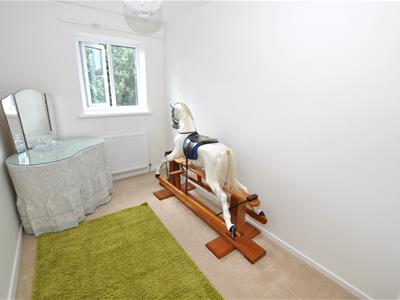 Picture 12